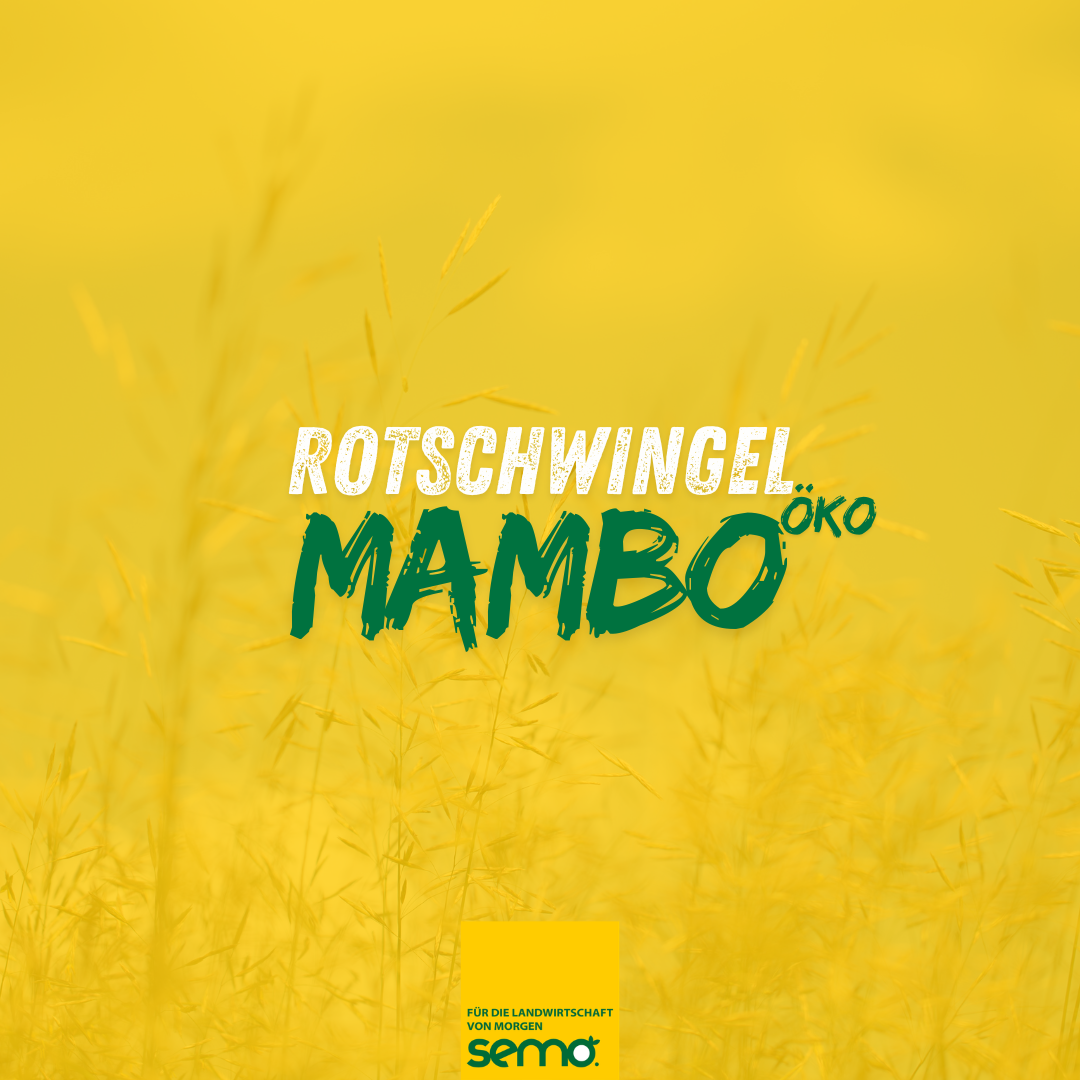 ROT Mambo Öko (10 kg)