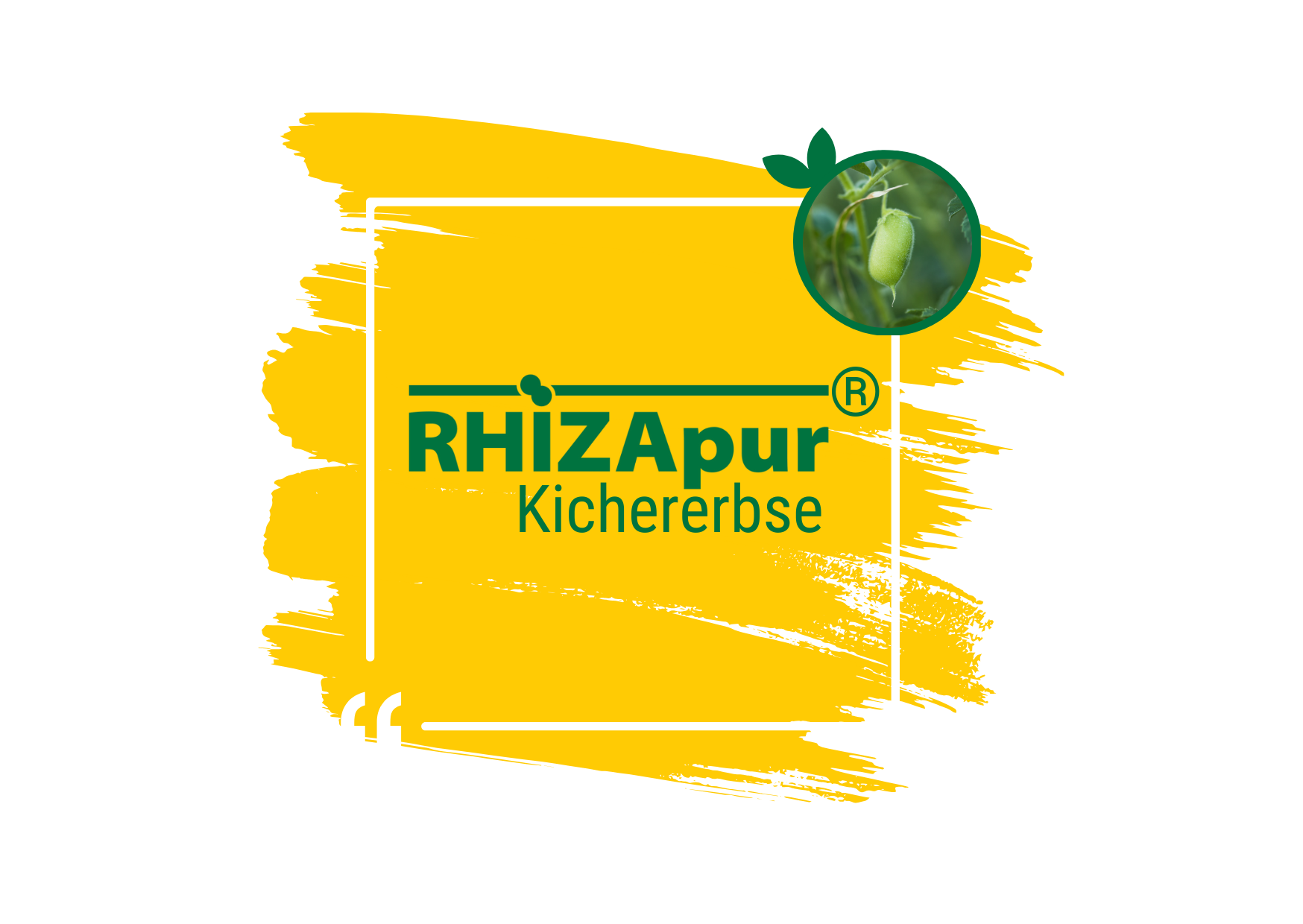 RHIZApur ® Kichererbse 500 ml (für 100 kg)