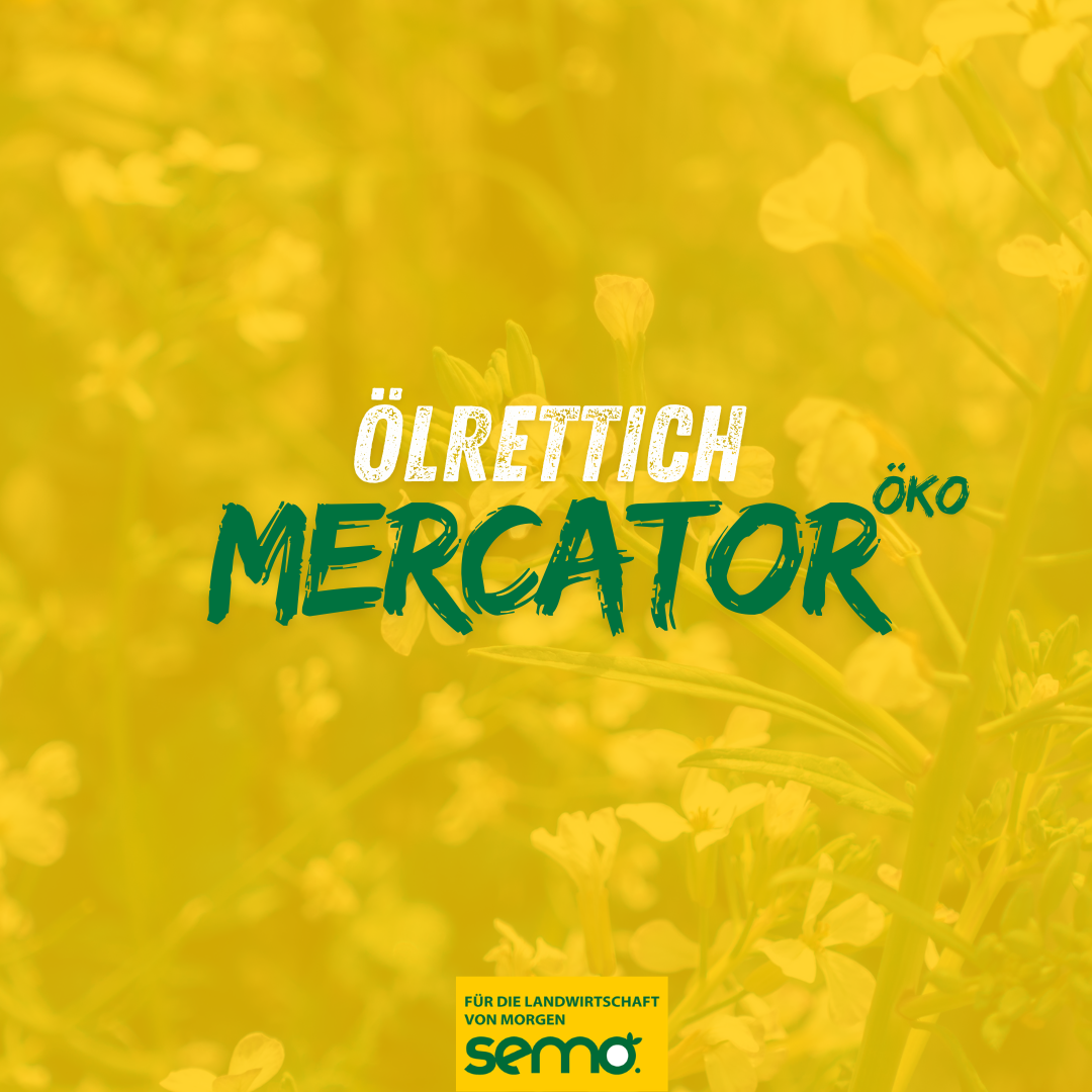 OR Mercator Öko (25 kg)