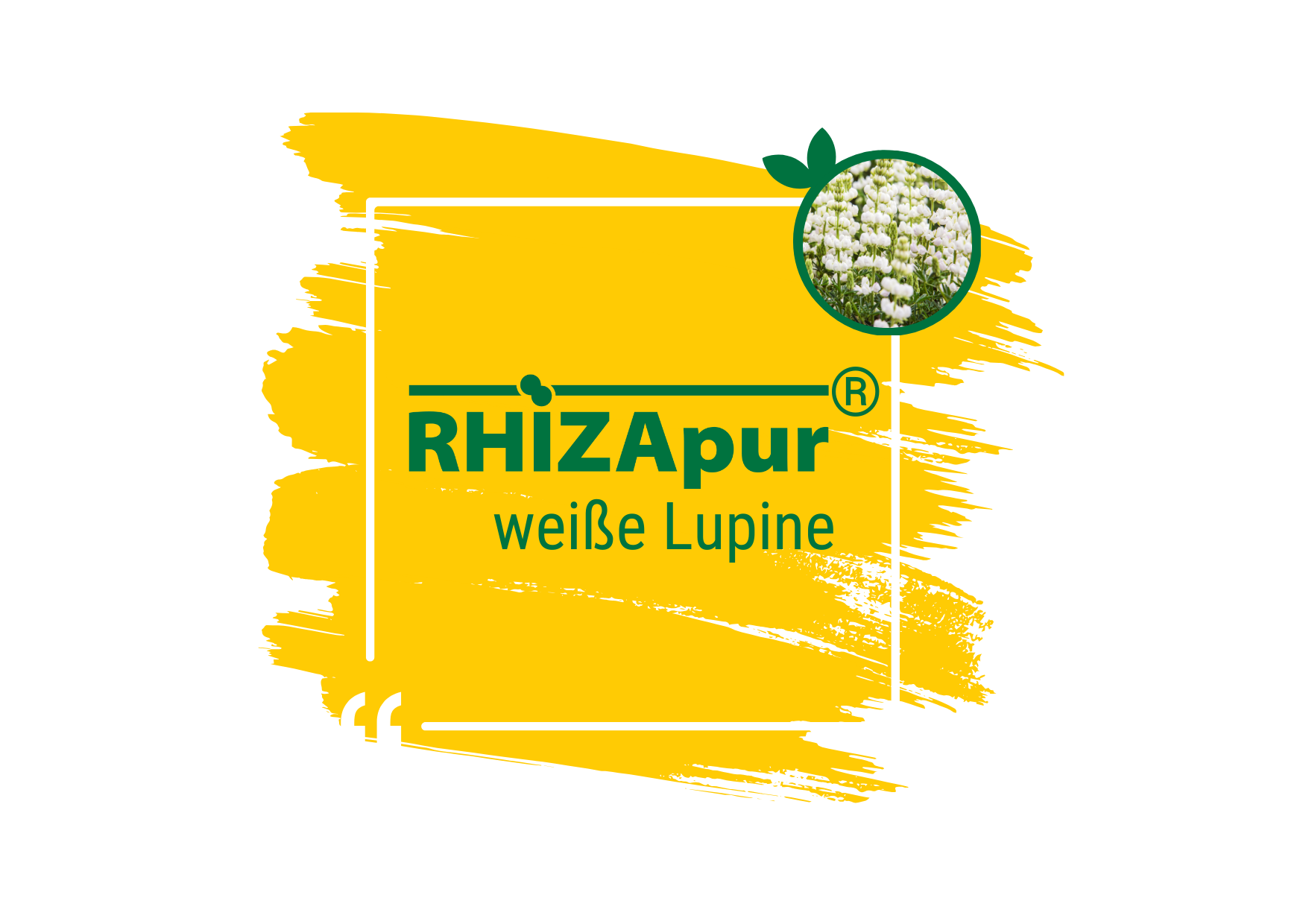 RHIZApur ® weiße Lupine 500 ml (für 100 kg)