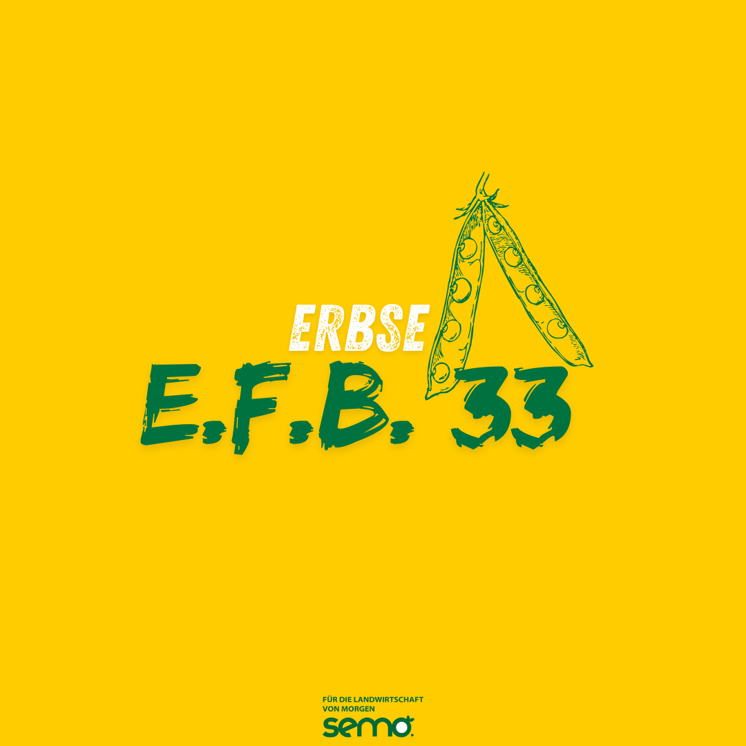 EF E.F.B. 33 Öko (w) (25kg) EF E.F.B. 33 Öko (w) (25kg)