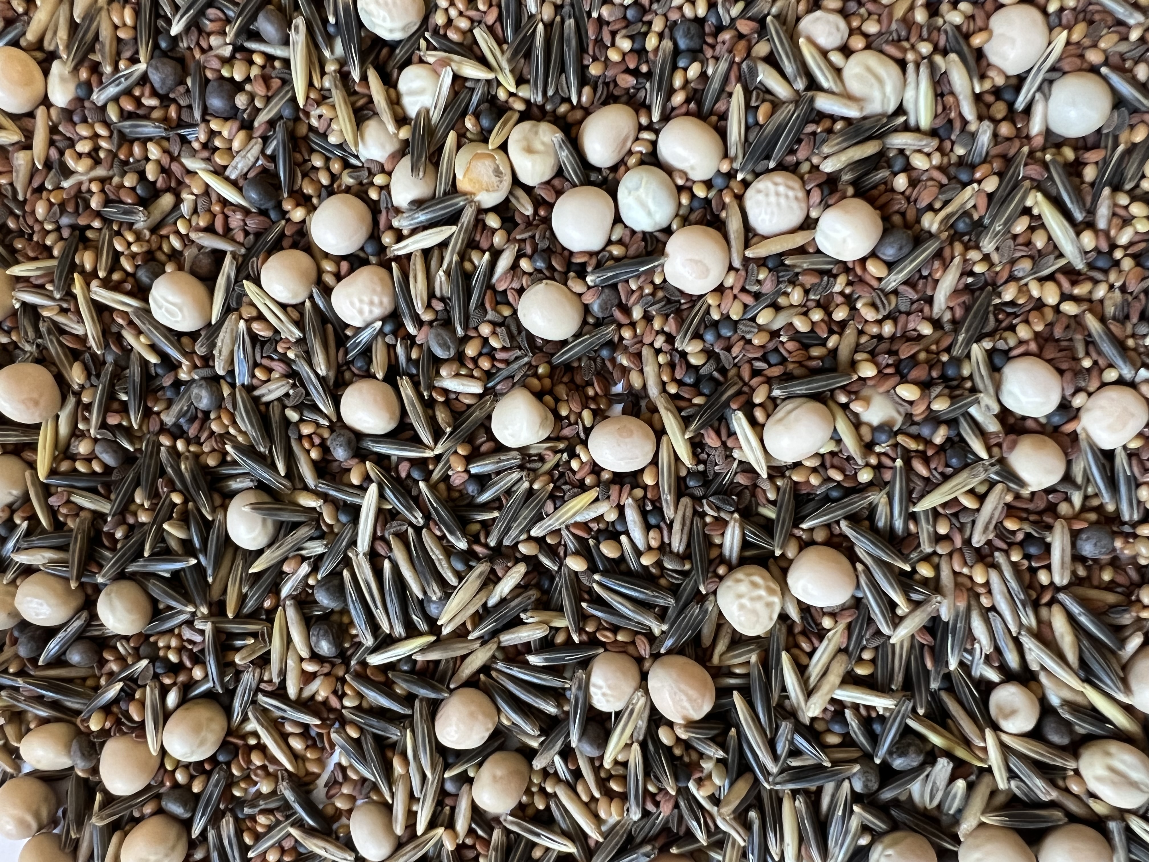 semopur 9.17 FAKT-Wintergrün Öko (20 kg) semopur 9.17 FAKT-Wintergrün Öko (20 kg)