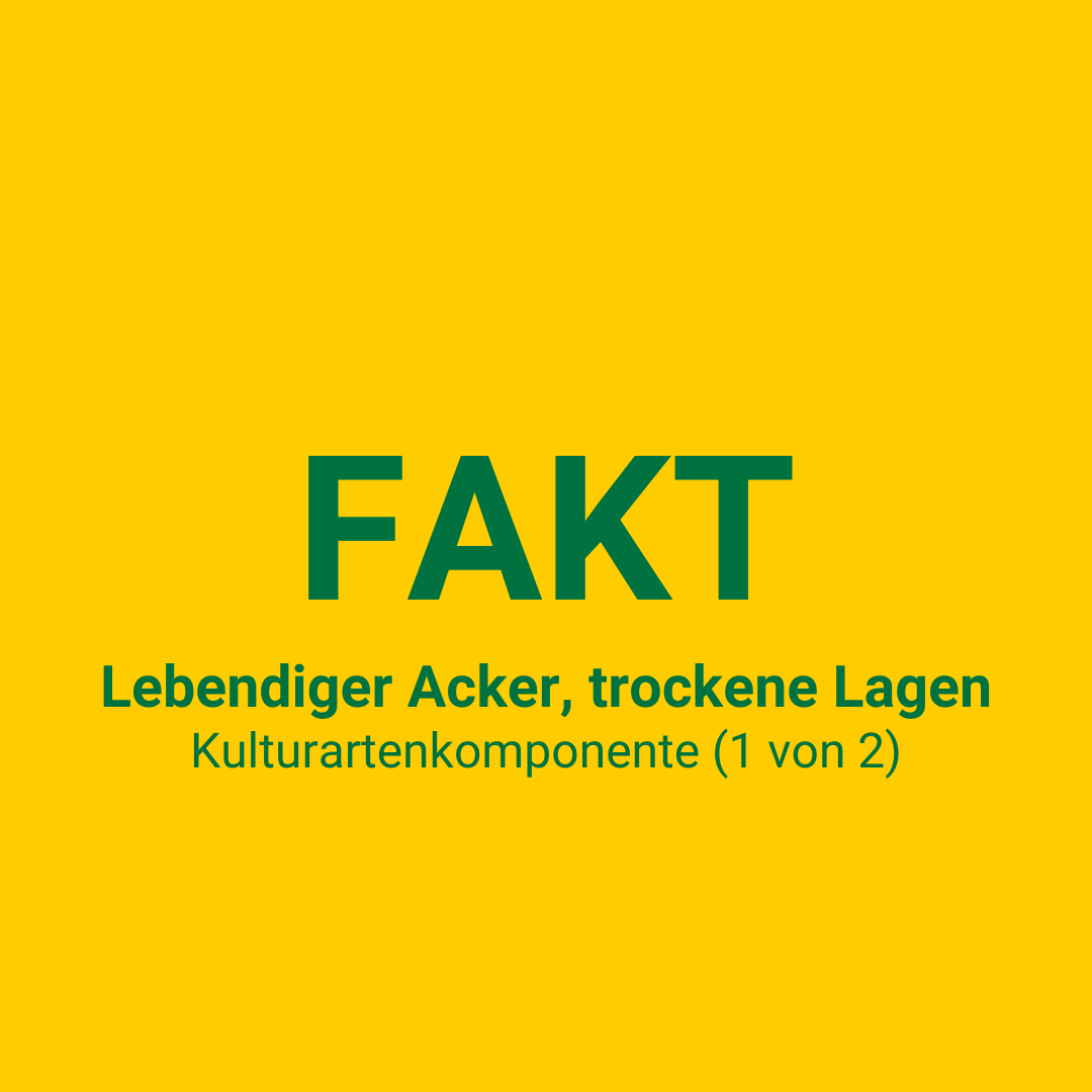 FAKT II E8, Leb.Acker tr. Öko (6 kg) FAKT II E8, Leb.Acker tr. Öko (6 kg)