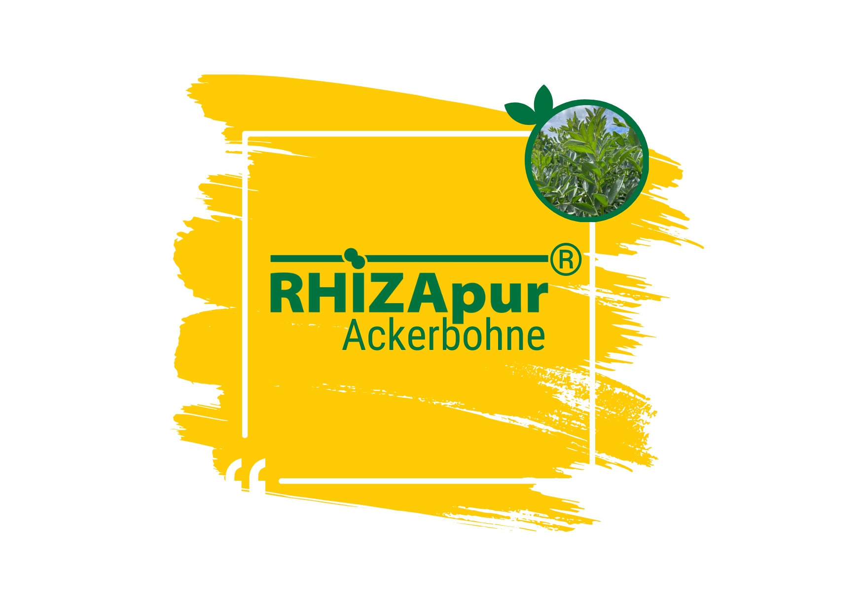 RHIZApur ® Ackerbohne 500 ml (für 100 kg)