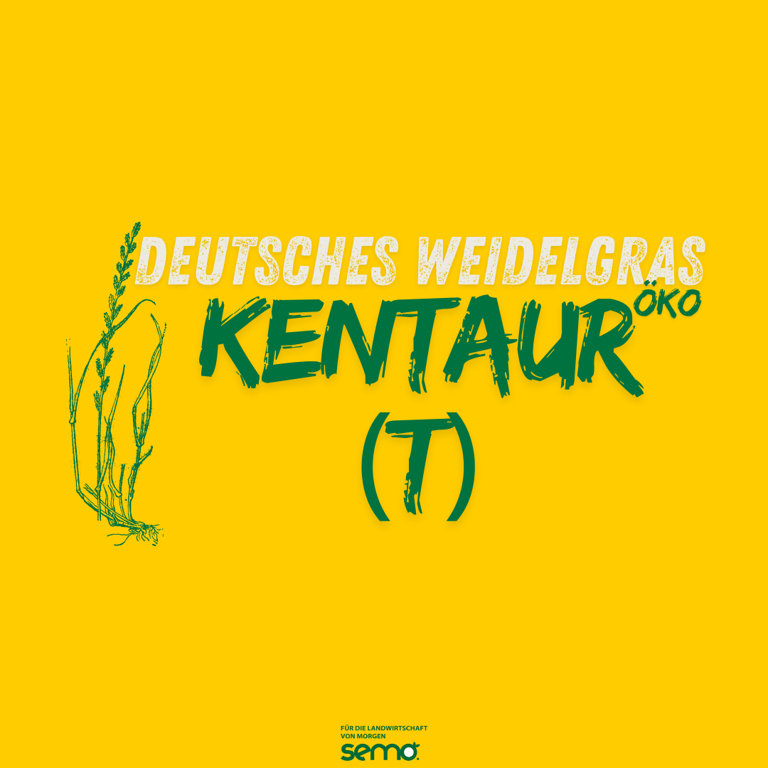 WD KENTAUR (t) spät Öko (25 kg)