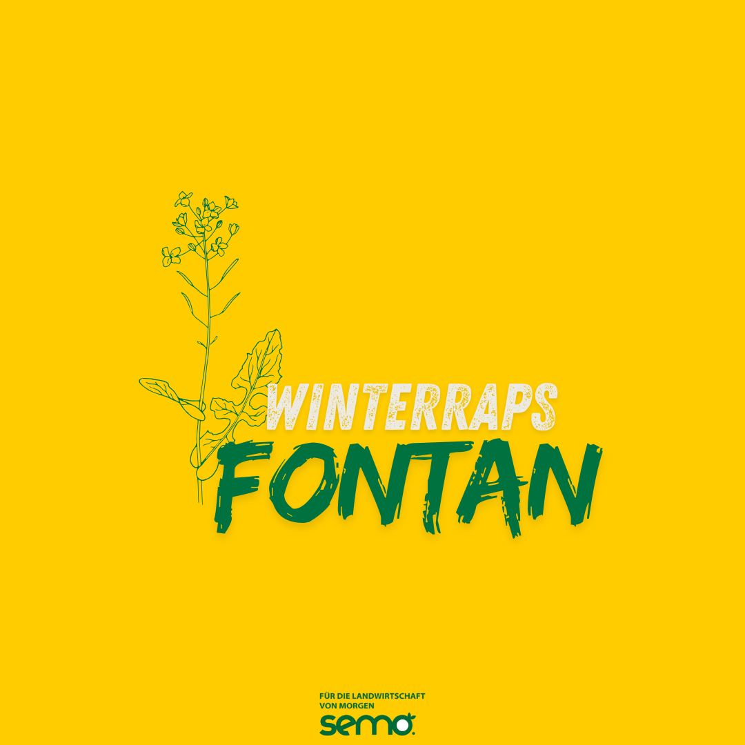 RAW Fontan Öko (25 kg) RAW Fontan Öko (25 kg)