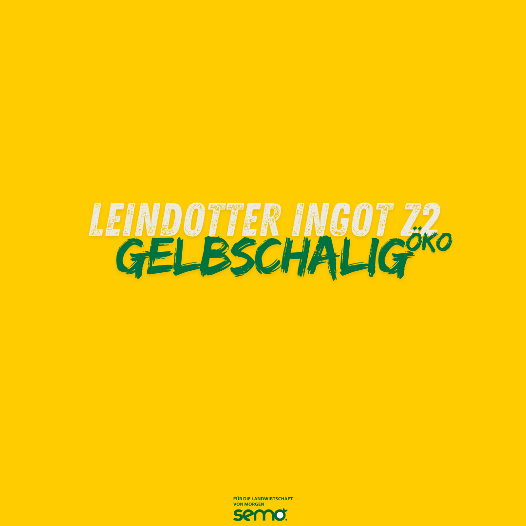 LN Ingot Öko Z2 (gelbschalig)