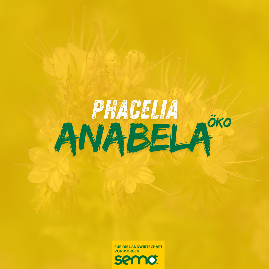 PHA Anabela Öko (25 kg)