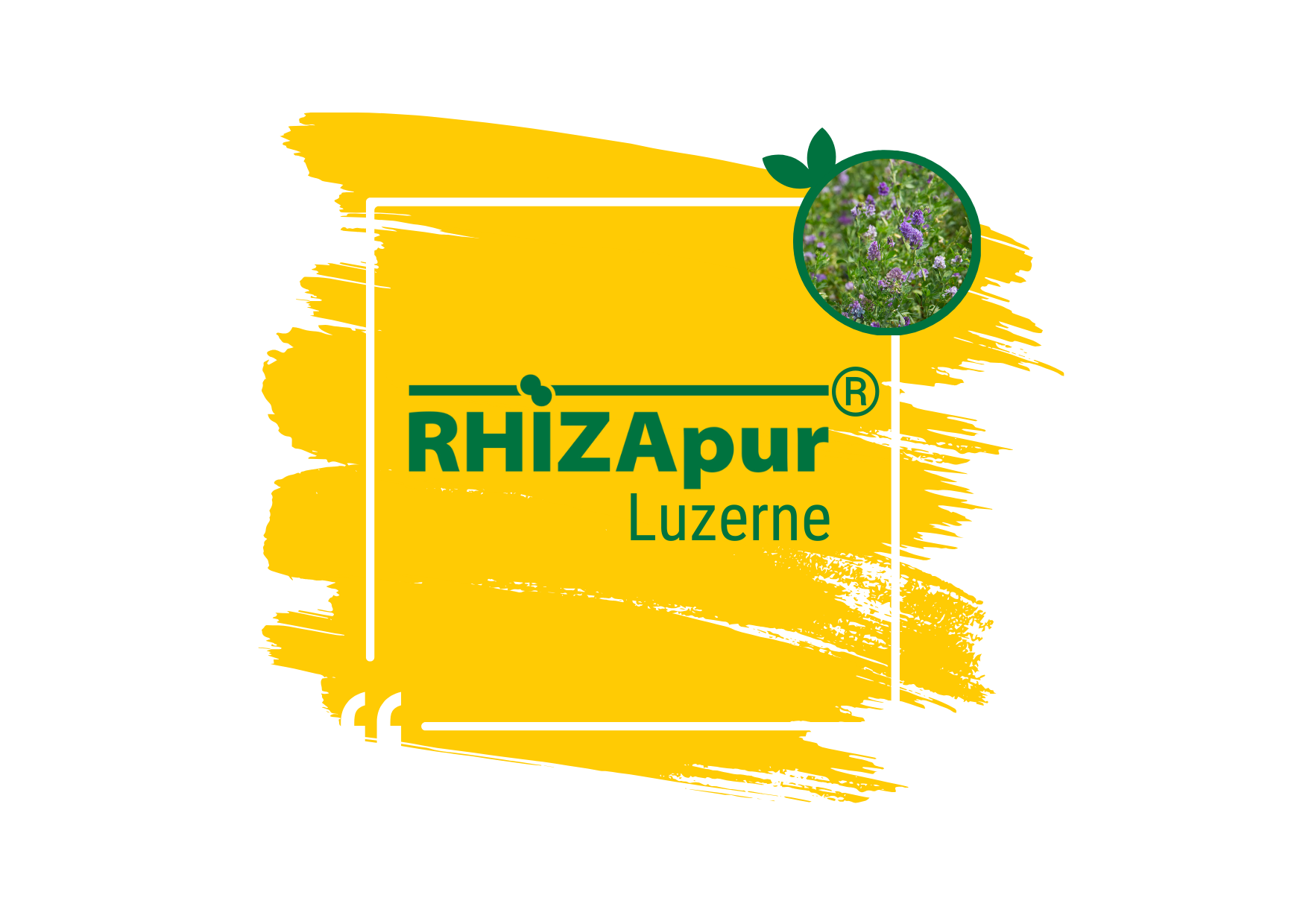 RHIZApur ® Luzerne 500 ml (für 50 kg)