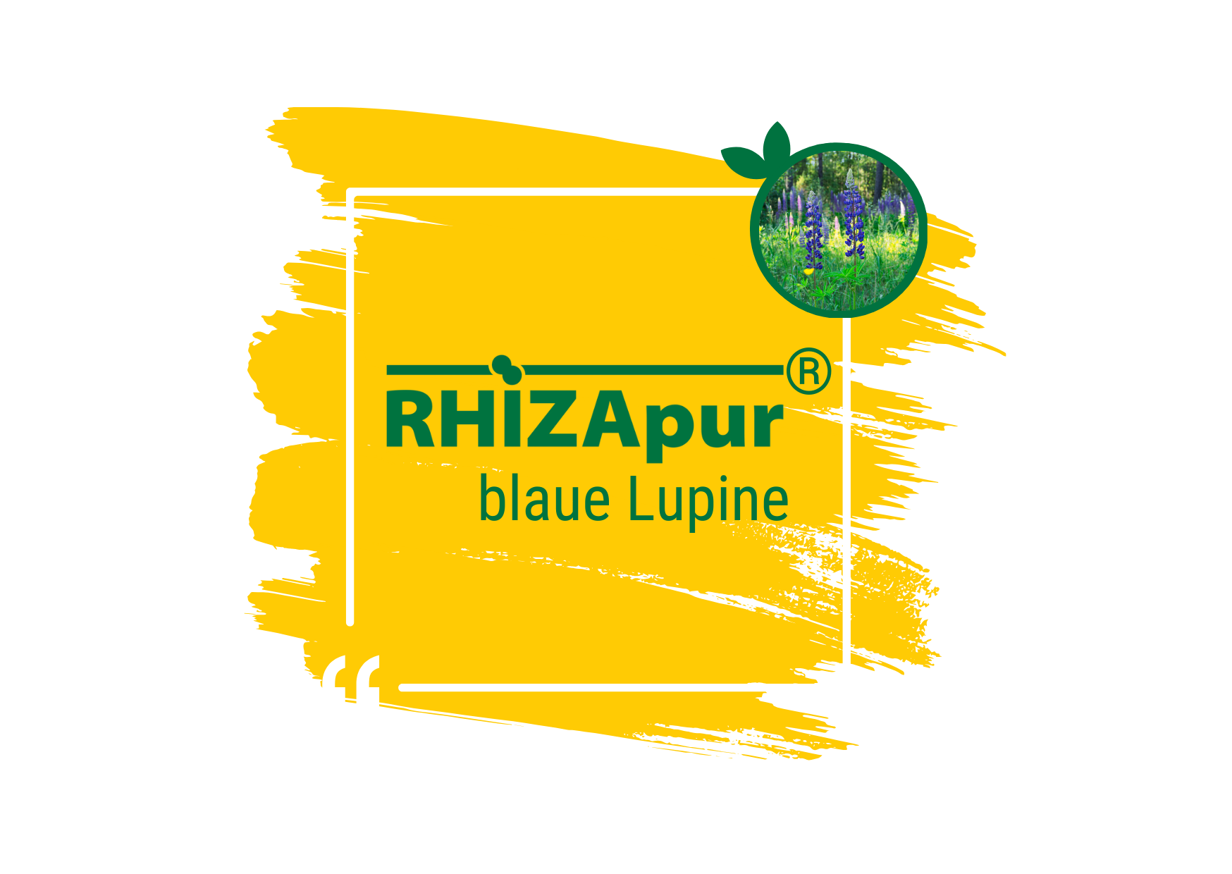 RHIZApur ® blaue Lupine 500 ml (für 100 kg)