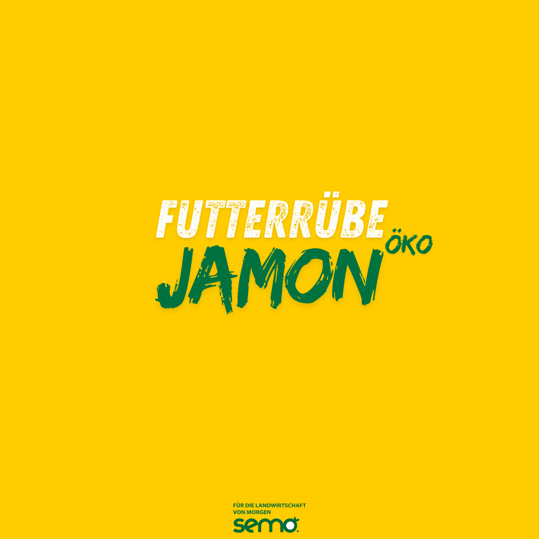 FR Jamon Pillensaatgut Öko (50TK)