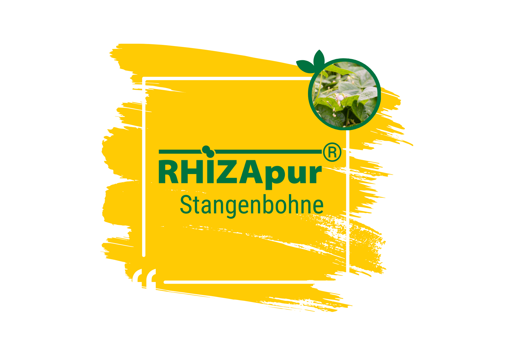 RHIZApur ® Stangenbohne 100 ml (für 20 kg)